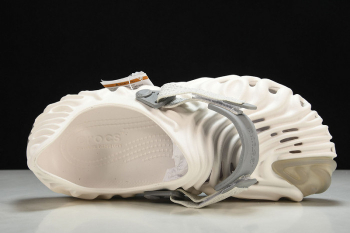 Cr*0*s pollex slide  cp -01