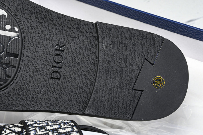 D1R* SLIDE copshoe  DR-SLIDE 020