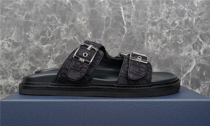 D1R* SLIDE copshoe  DR-220