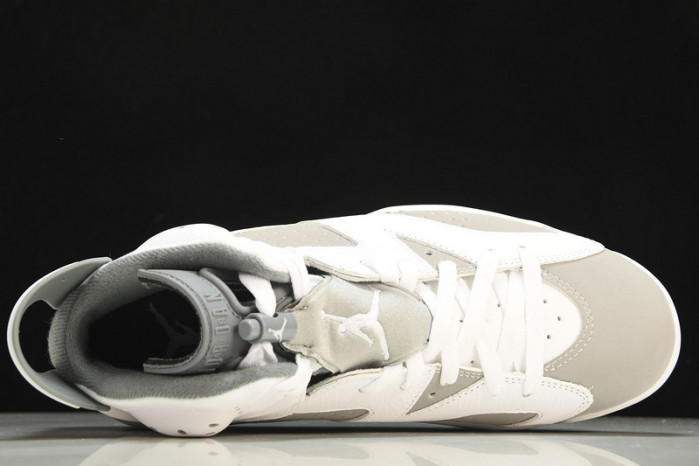 Air Jordan 6 Cool Grey CT8529-100  CT8529-100