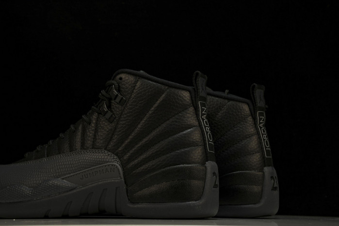 Air Jordan 12 Black Wolf Grey CT8013-019