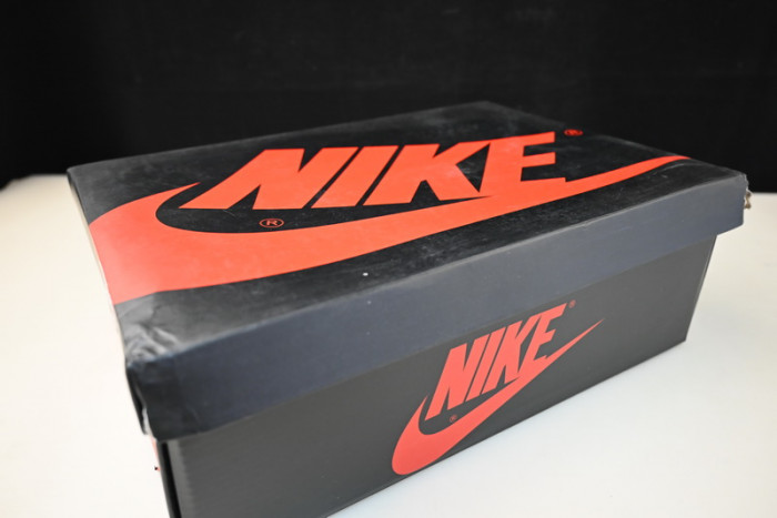 Jordan 1 Retro Low OG Zion Williamson Voodoo  DZ7292-200