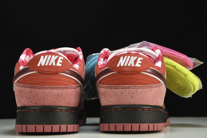 Nike SB Dunk Low Concepts Red Lobster  313170-661