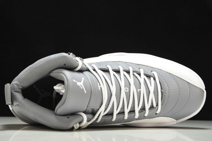 Air Jordan 12 Stealth CT8013-015
